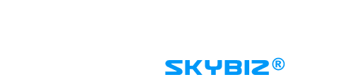 SKYBIZ AI ChatBot Logo